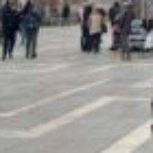 Foto de perfil de MJOSÉ Micó Chapí