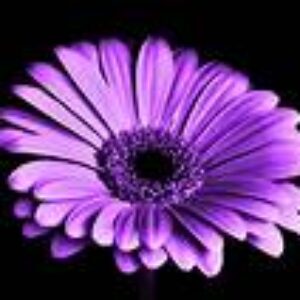 Foto de perfil de Mª Jesús Hernández Rama